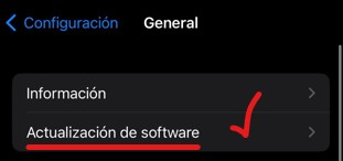 actualizacion de software opcion